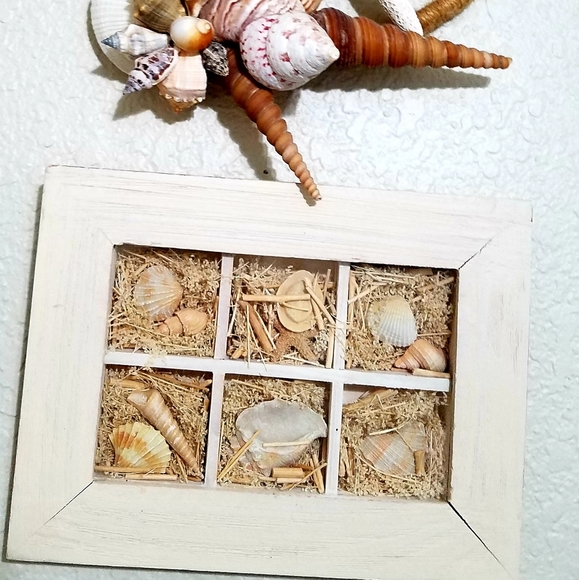 Set of sea shell decor items - Picture 2 of 7